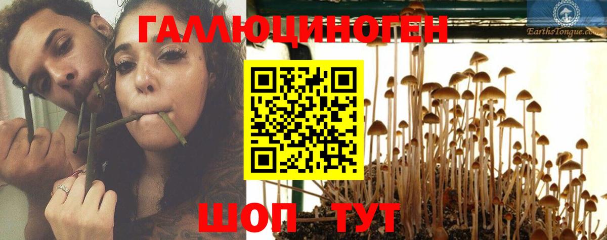 Галлюциногенные грибы MAGIC MUSHROOMS  Вход с VPN  Кызыл 